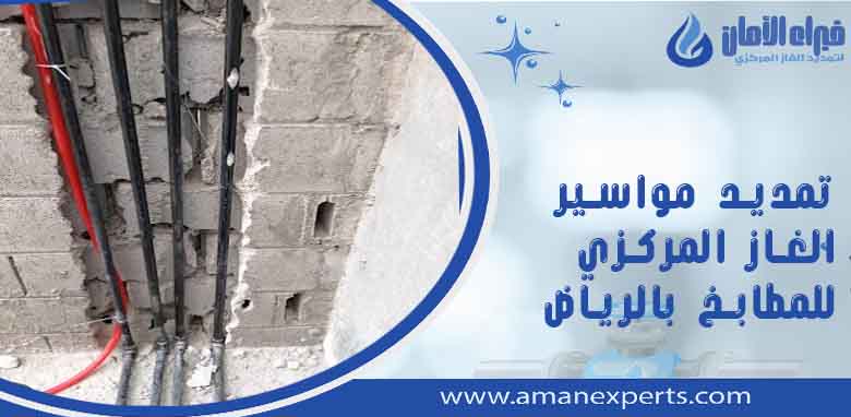 شركة تمديد مواسير الغاز المركزي للمطابخ بالرياض